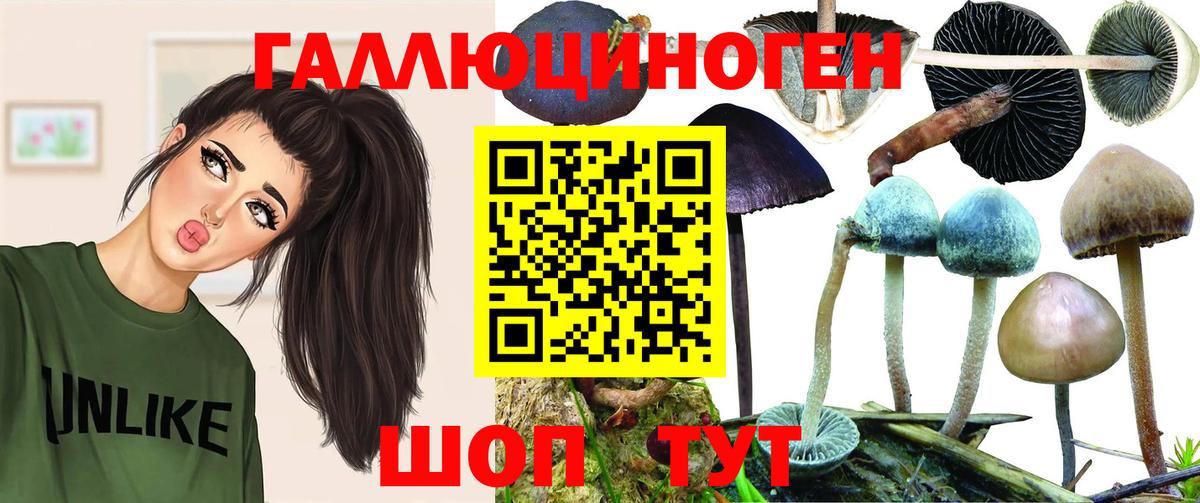 Псилоцибиновые грибы Psilocybe  Вход с VPN  Шелехов 